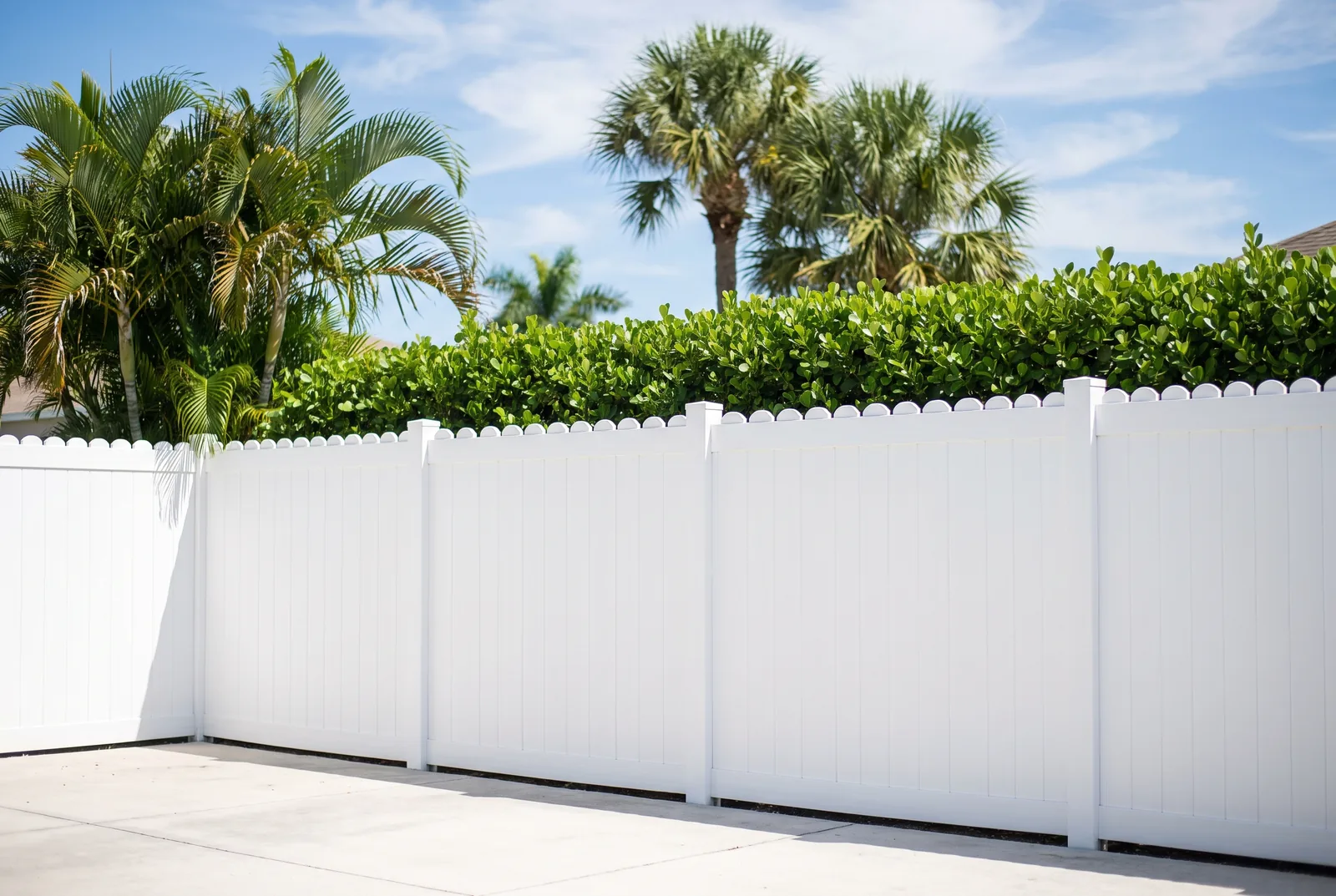 White vinyl privacy fence enclosing a Florida backyard